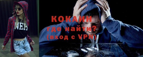 молекула духа Алексин
