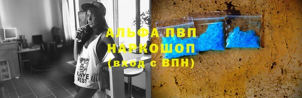 СК Алзамай