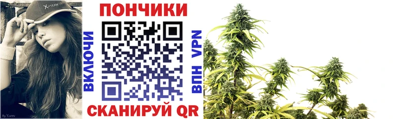 купить закладку shop Telegram блэк спрут Шишки марихуана индика Черепаново